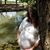 Rachel Toney's profile image