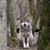 Michelle L. Rost's profile image
