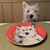 Beverly Mathews's profile image
