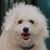 Sammie Gee's profile image