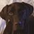 Mary Catherine Lucchetti Giroux's profile image