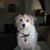 Kathleen Swim Pacheco's profile image