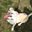 Ryan Ewig's profile image
