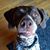 Monica Hecket's profile image