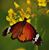 Andy Andy's profile image
