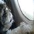 Marion Lousia Ace Lemon Pixley's profile image