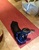 Annette M.'s profile image