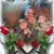 Amy Nelson's profile image
