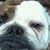 Lana Marsh's profile image