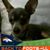 Barbara Donohew's profile image