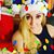 Laurie Zieman's profile image