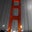 ACORDER's profile image