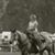 Amy Piere-Soll's profile image