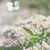 Patricia Brown Dornes's profile image