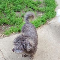 Deborah Graves's profile image