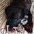 Sue Huffman's profile image