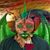 Aslan Balaur's profile image