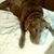 Cindy Northcutt Cooper-Cathey's profile image