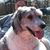 Margie Nolan Bertha's profile image