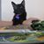 Jenifer Gillen's profile image