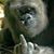 Noe Pantoja's profile image