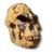 David Tyska's profile image