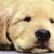 Diane Tebbe's profile image