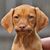 Katherine Croom's profile image