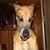 Xena Dane's profile image
