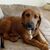 Judy Ponte's profile image