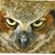 F Wayne Mahan's profile image