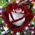 Ruby Rose's profile image