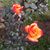 Claire Ledoux's profile image