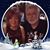 Beverley Kaspareit's profile image