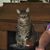 Lydia Blalock Butler's profile image