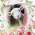 Mary Conner Ball's profile image