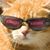 Dan Davidson's profile image