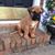 Valarie Reuter's profile image