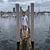 Brent Grant's profile image