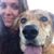 Katha Remark's profile image