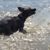 Rosalee Shalise Smith Keller's profile image