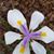 Carina Ratcliff's profile image
