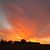 Marlyn O. Newhart's profile image