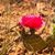 Crystal Haigh Domke's profile image