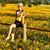 Angie Longan's profile image
