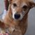 Laurie Boatwright's profile image