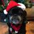 Kathy Carlson's profile image