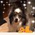 Shelley Adele Wentz's profile image
