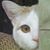 Heather Knuth Rudlaff's profile image