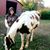 Lisa Marks's profile image